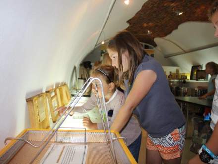 Zakończyła się Wystawa Pszczelarska w Galerii Pod Ratuszem